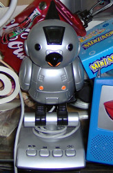 ER LIEST MIR MEINE MAIL´s VOR und WACKELT mit den FLÜGELN DABEI *** VOGEL GRÖSSER KLICK EINFACH SCHÖN neeeeeeeeeeeeeeeeeeeeeeeeeeeeeeeeeeeeeeeeeeeeeeeeeeeeeeeeeeeeeeeeeeeeeeeeeeee